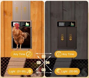 Automatic-Chicken-Powered-Display-Aluminum-